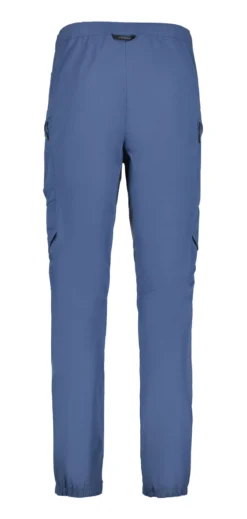 Icepeak Blevins