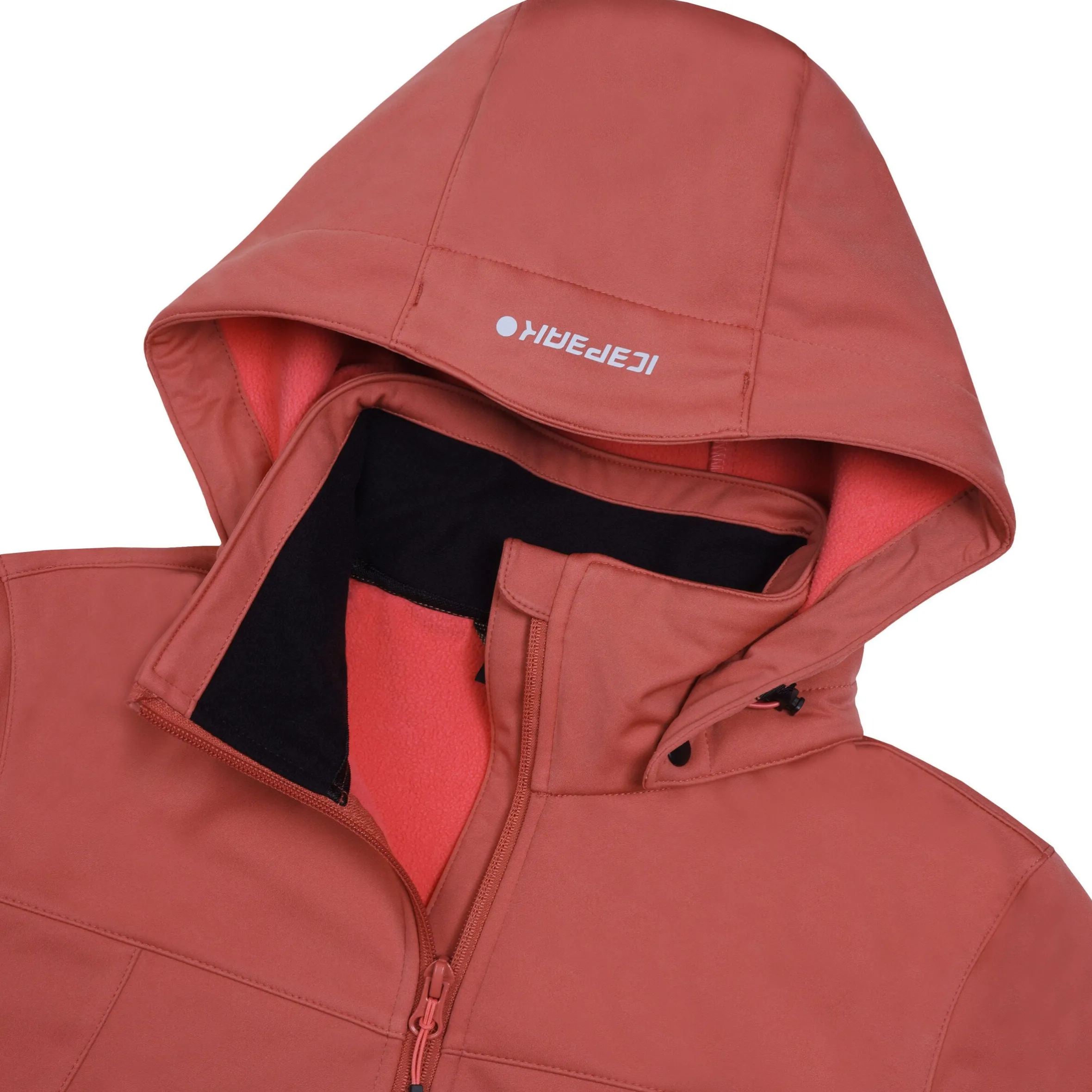 Icepeak Boise