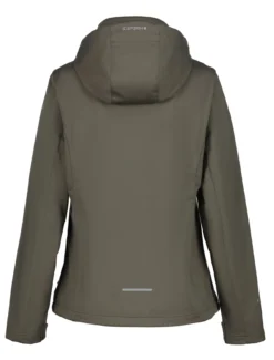 Icepeak Boise