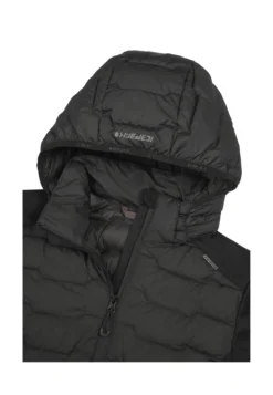 Icepeak Burlison