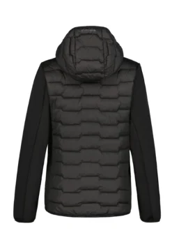 Icepeak Burlison