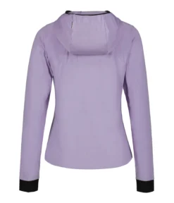 Icepeak Dinan
