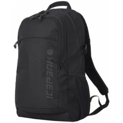 Icepeak Geiger
