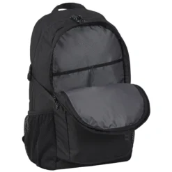 Icepeak Geiger