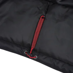 Icepeak Latimer Jr