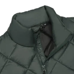 Icepeak Palmer