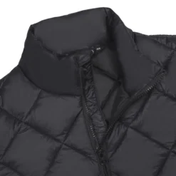 Icepeak Palmer