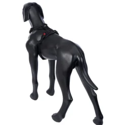 Rukka Pets Bliss Harness