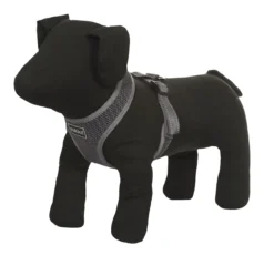 Rukka Pets Comfort air harness