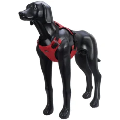 Rukka Pets Hike Harness