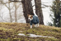 Rukka Pets Protect overall