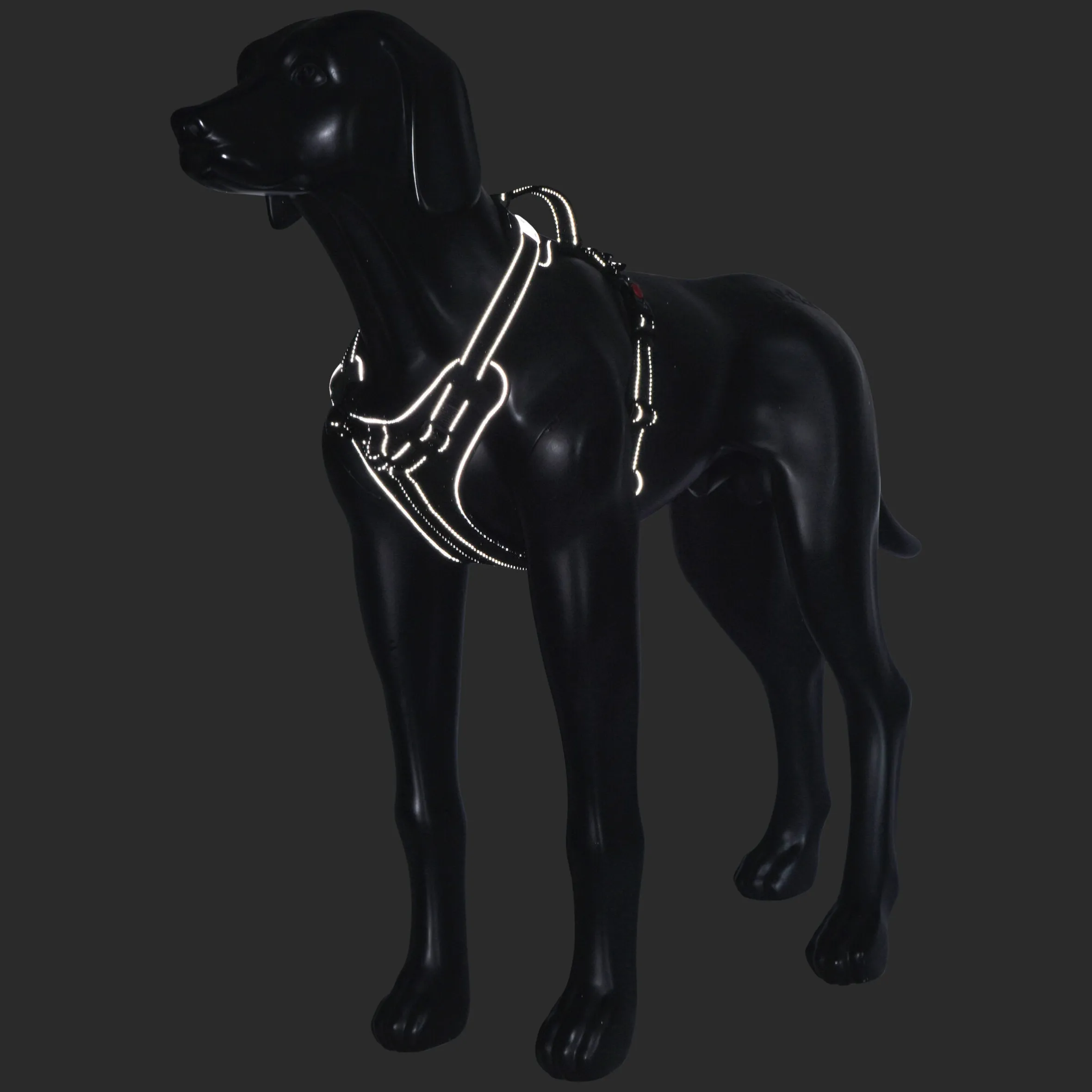 Rukka Pets Solid harness